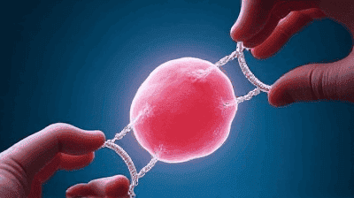 Should We Edit Human Embryos The CRISPR Ethics Debate Explained